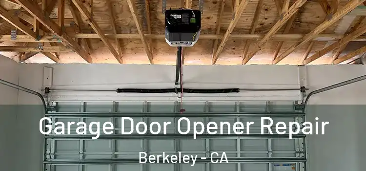  Garage Door Opener Repair Berkeley - CA