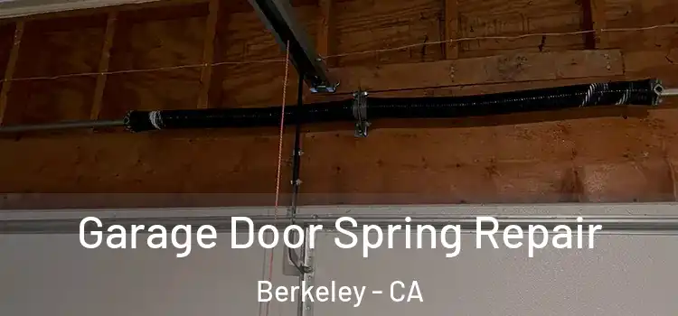  Garage Door Spring Repair Berkeley - CA