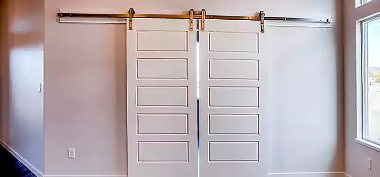 Glass Barn Door with Installation Hardware Kit Berkeley