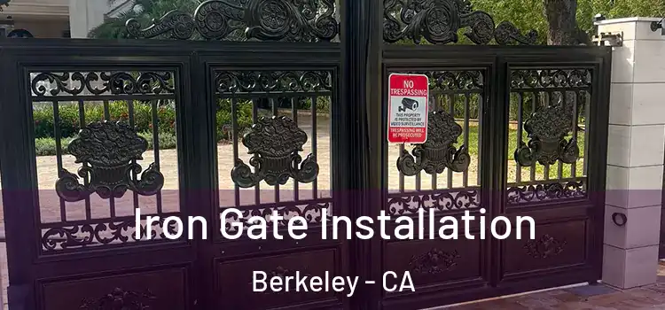 Iron Gate Installation Berkeley - CA